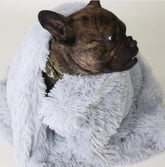 Cozy Pet Comforters