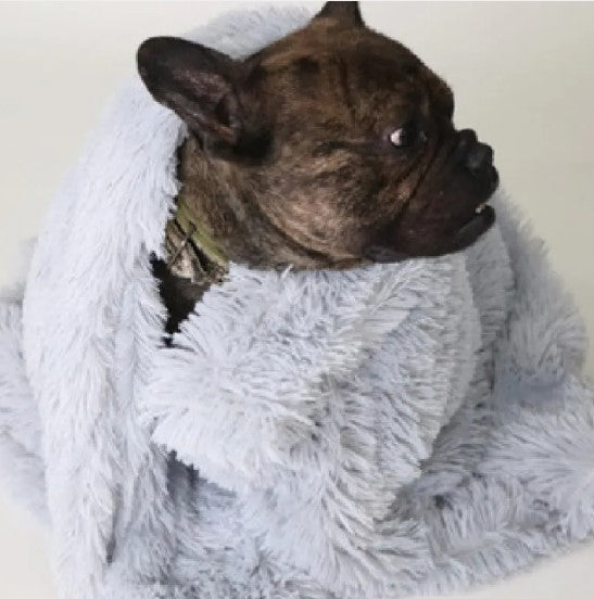 Cozy Pet Comforters
